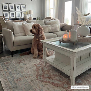 Emke Cream Washable 7ft Runner Rug