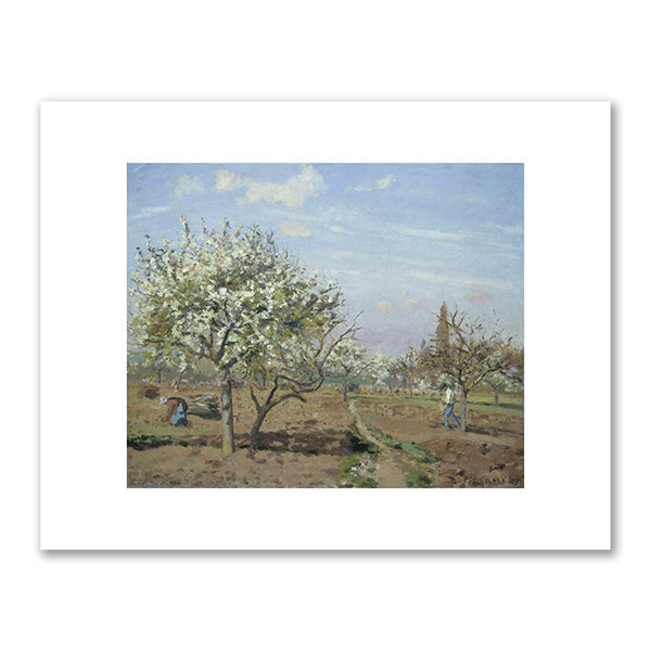 Orchard in Bloom, Louveciennes by Camille Pissarro