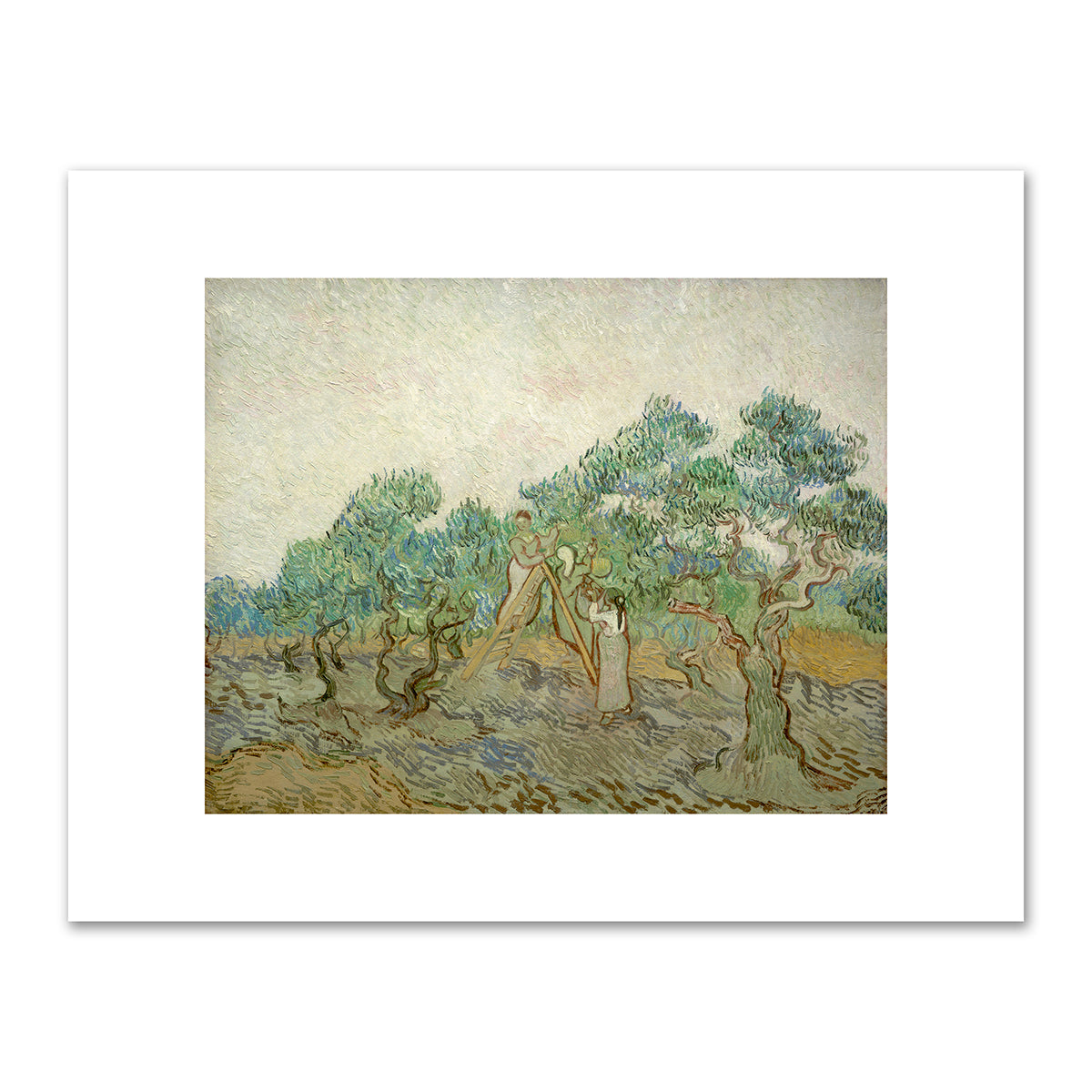 The Olive Orchard by Vincent van Gogh
