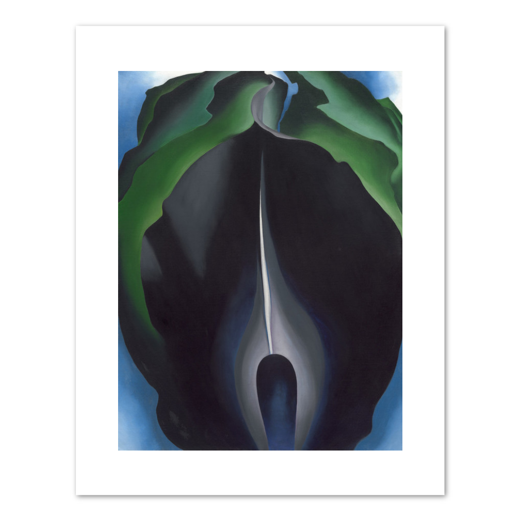 Jack-in-the-Pulpit No. IV by Georgia O'Keeffe