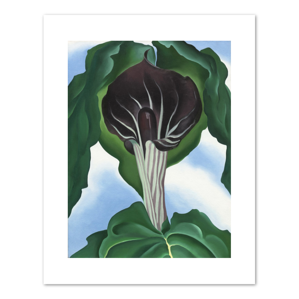 Jack-in-the-Pulpit No. 3 by Georgia O'Keeffe