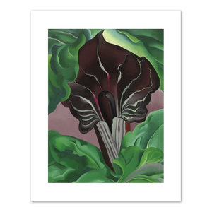 Jack-in-Pulpit - No. 2 by Georgia O'Keeffe