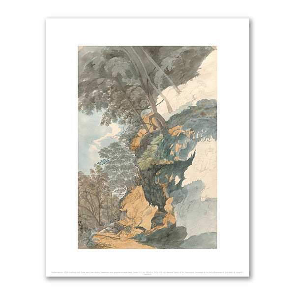 A Cliff Overhung with Trees by Ezekiel Barton