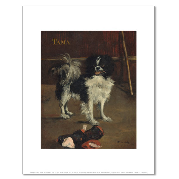 Tama, the Japanese Dog by Édouard Manet