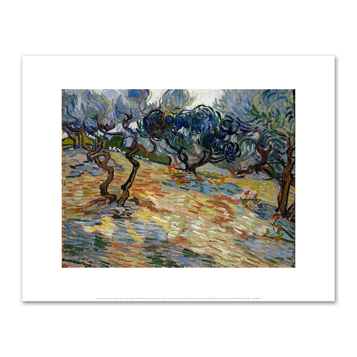 Olive Trees by Vincent van Gogh