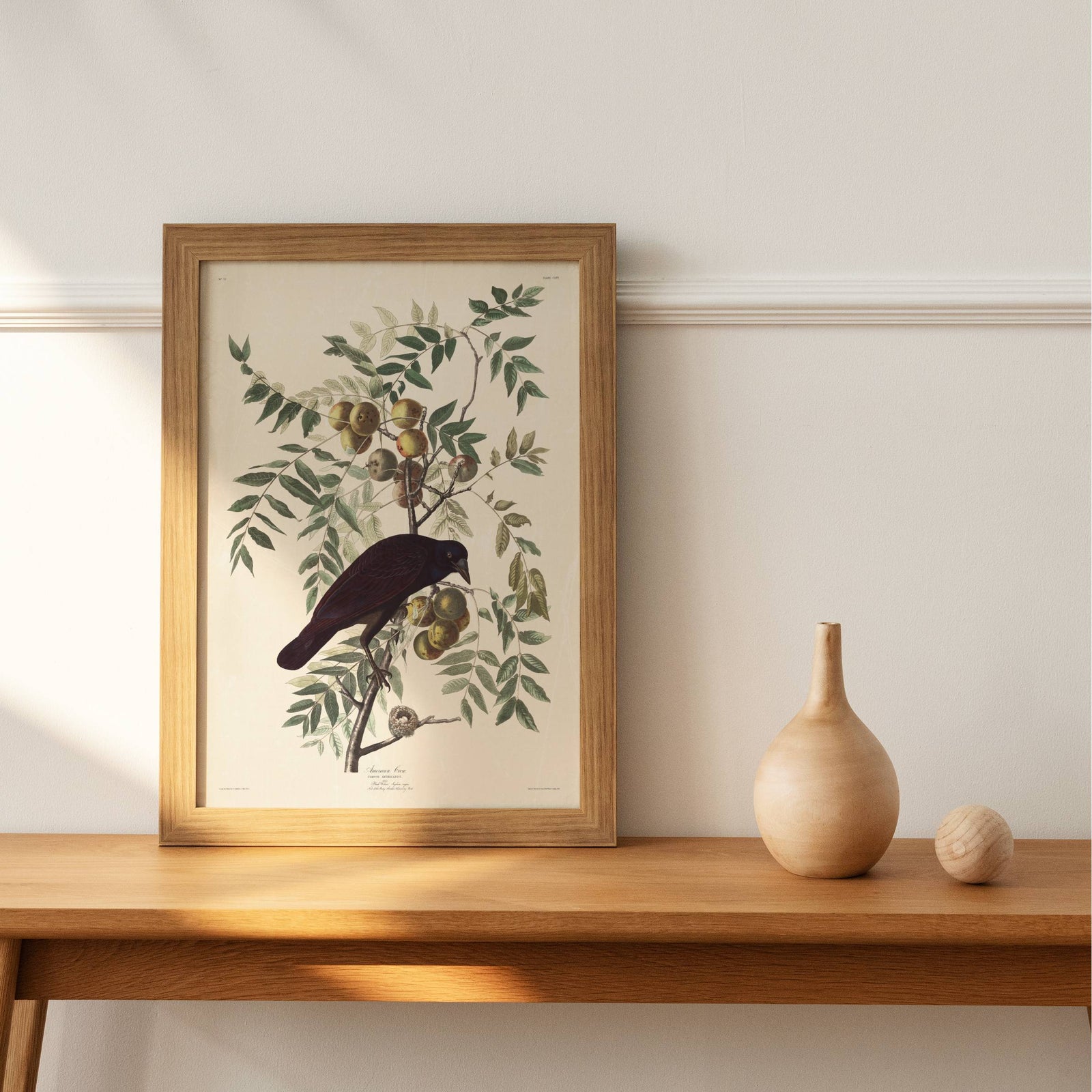 Audubon - American Crow