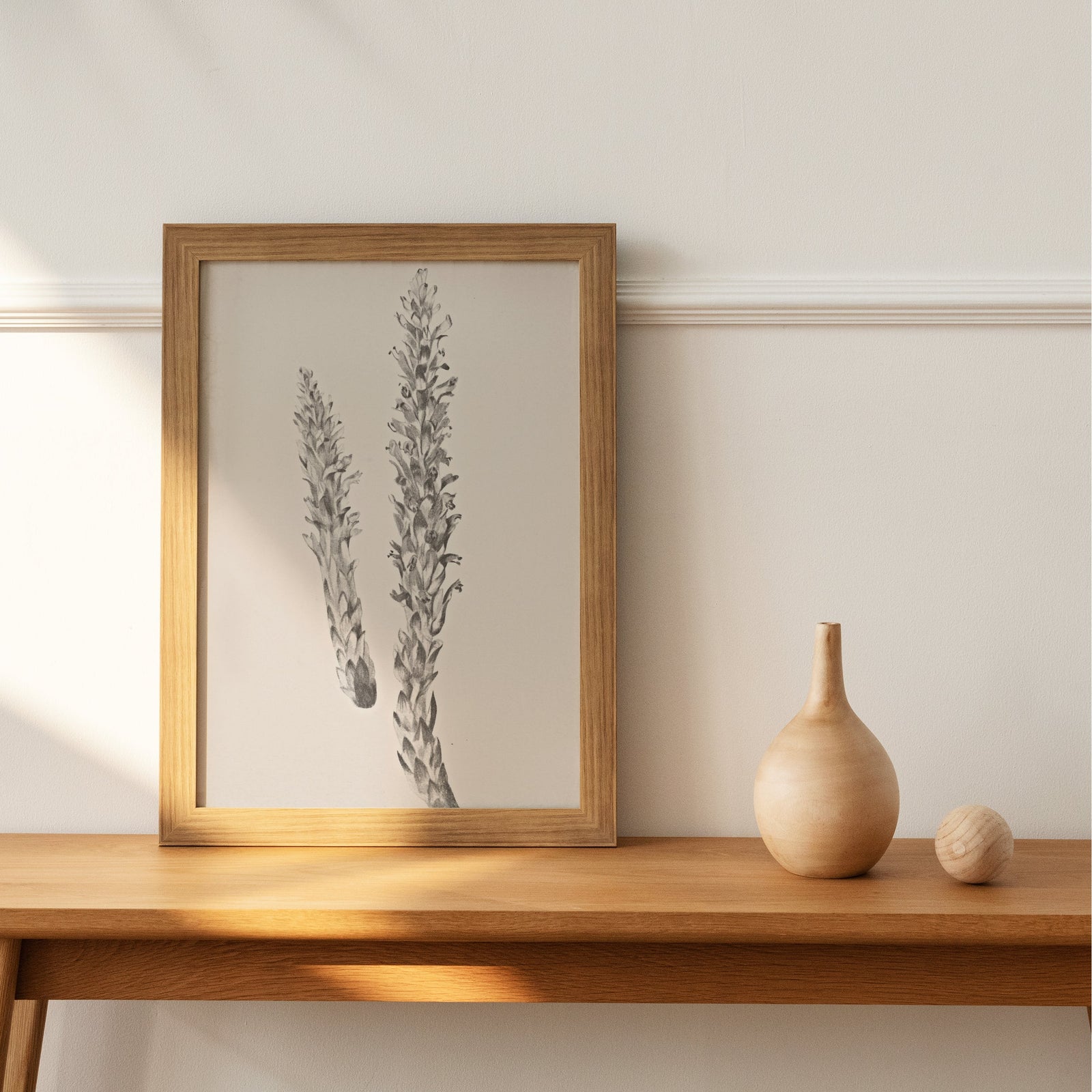 Hay Stem Sketch