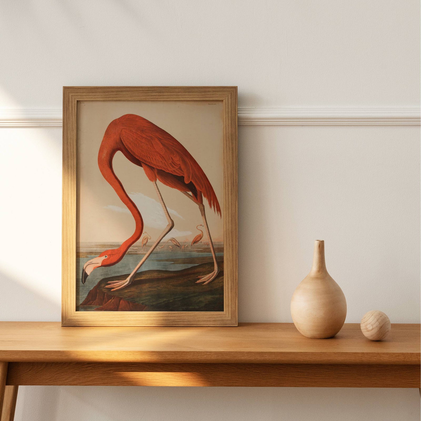Audubon - Flamingo