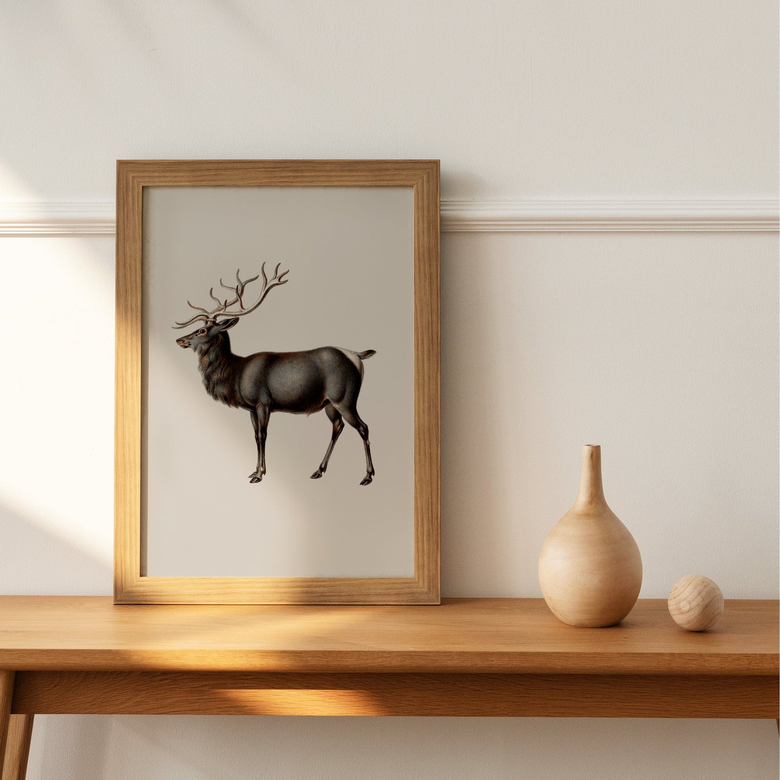 Reindeer