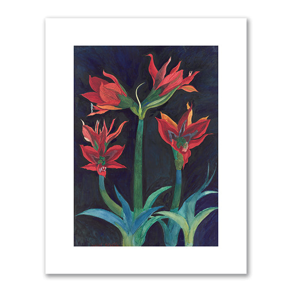 Red Amaryllis by Joseph Stella