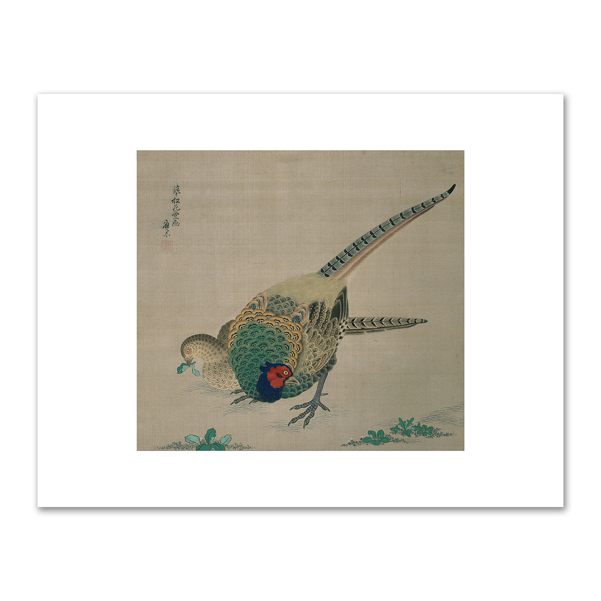 Pair of Pheasants Hanging Scroll (detail) by Maruyama Okyo