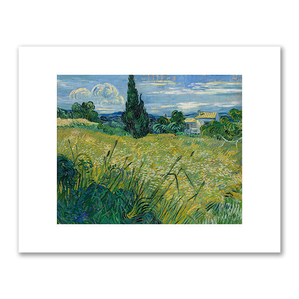 Green Wheat Field with Cypress by Vincent van Gogh