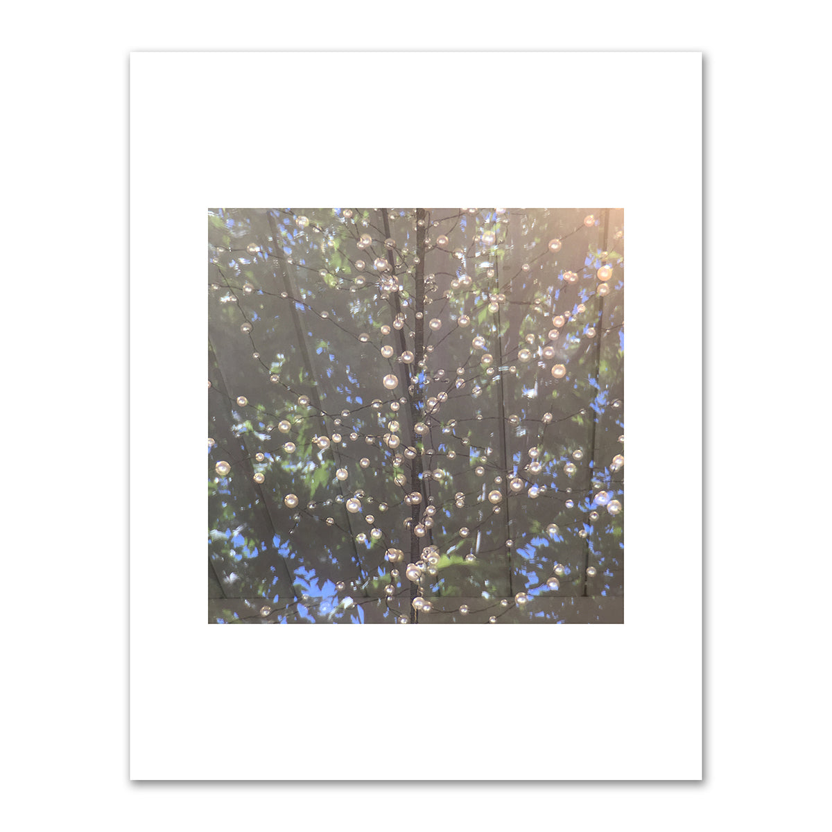 The Luminous Entwining by Judith Rayl