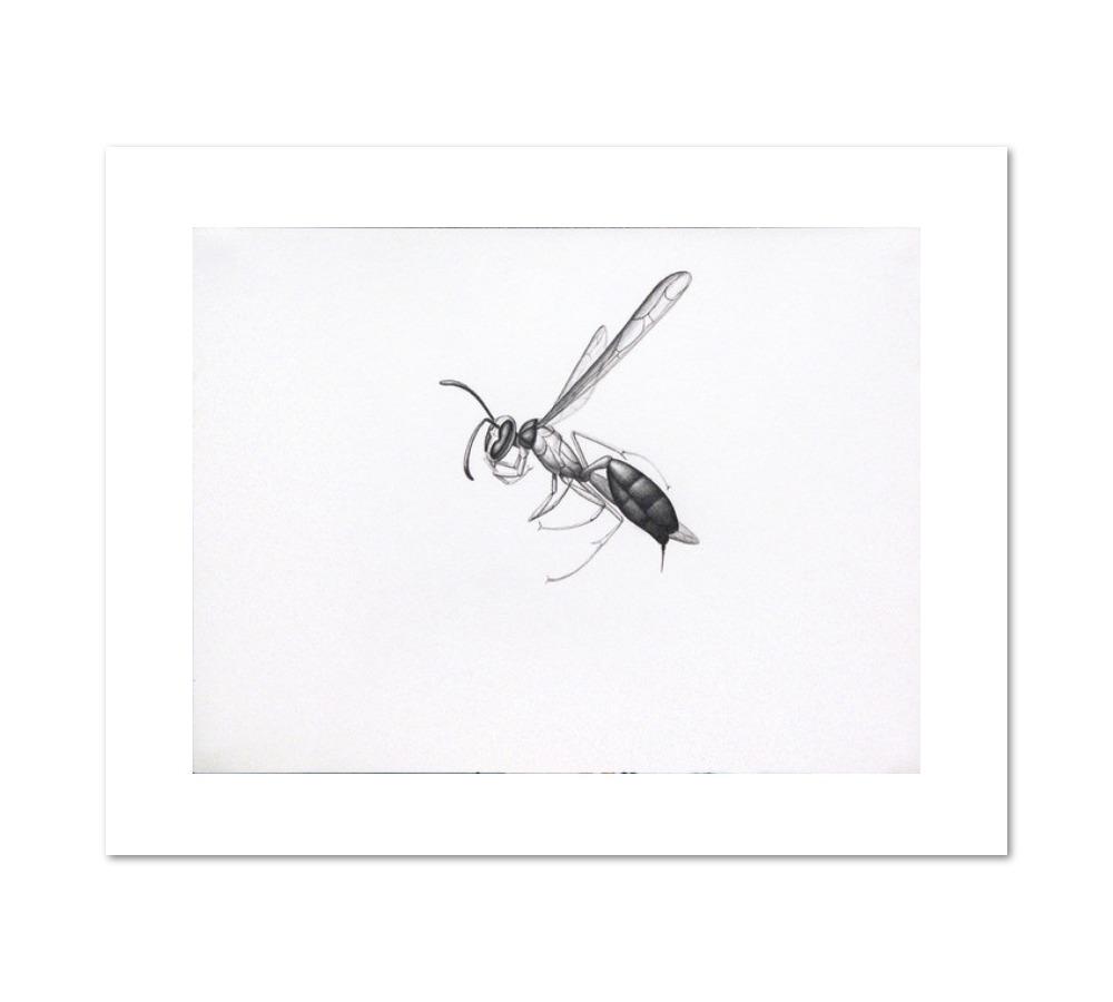 Wasp 2 by Alexis Rockman