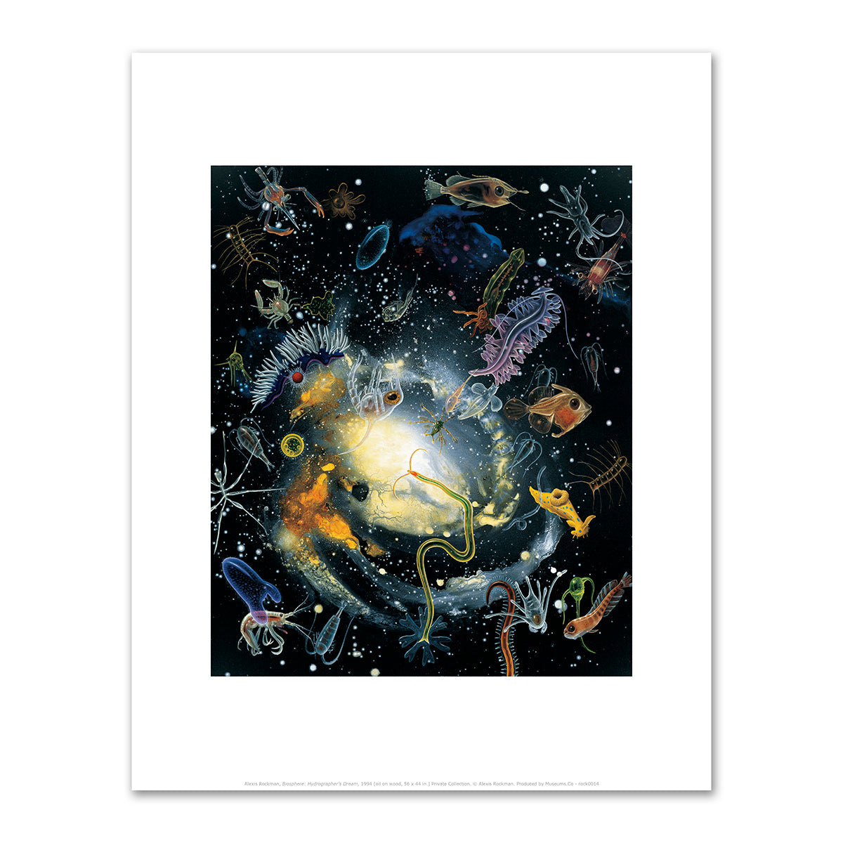Biosphere: Hydrographer's Canyon by Alexis Rockman