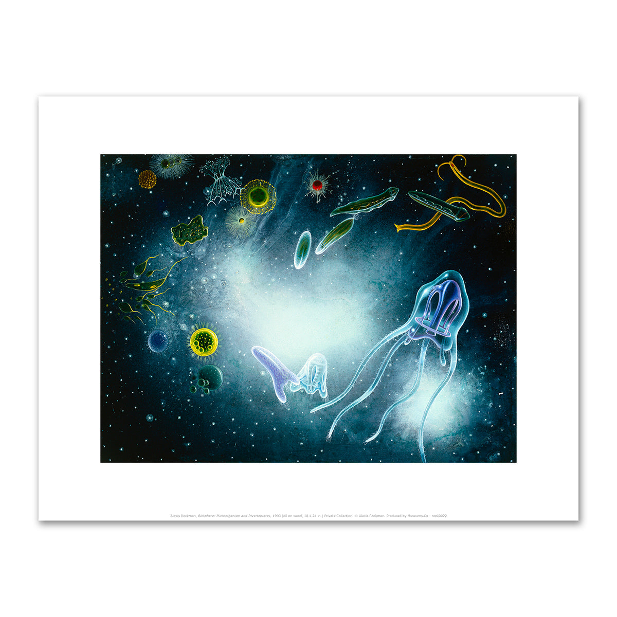 Biosphere: Microorganisms and Invertebrates by Alexis Rockman