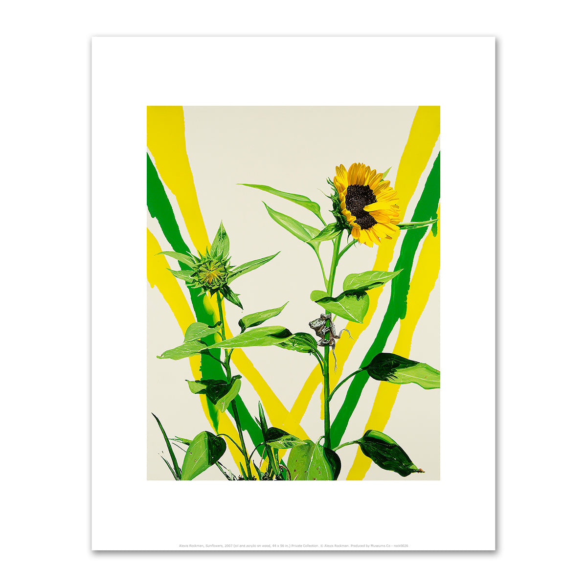 Sunflowers by Alexis Rockman