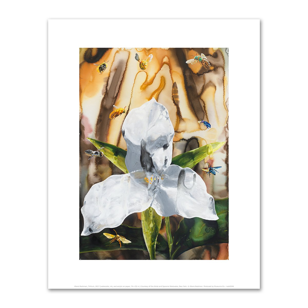 Trillium by Alexis Rockman
