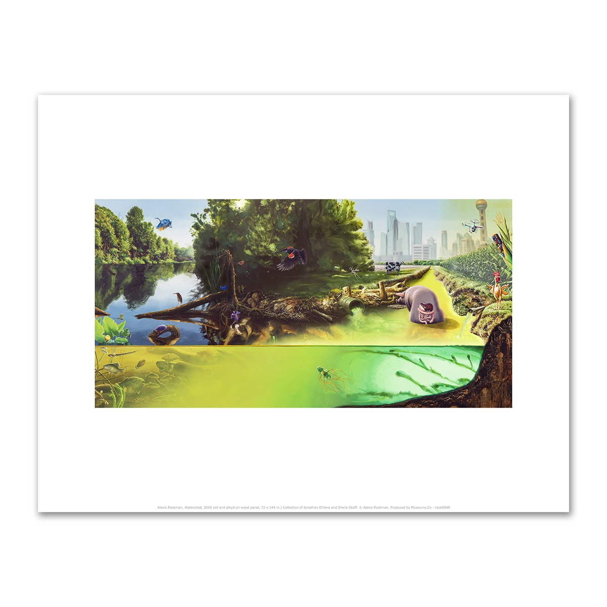 Watershed by Alexis Rockman