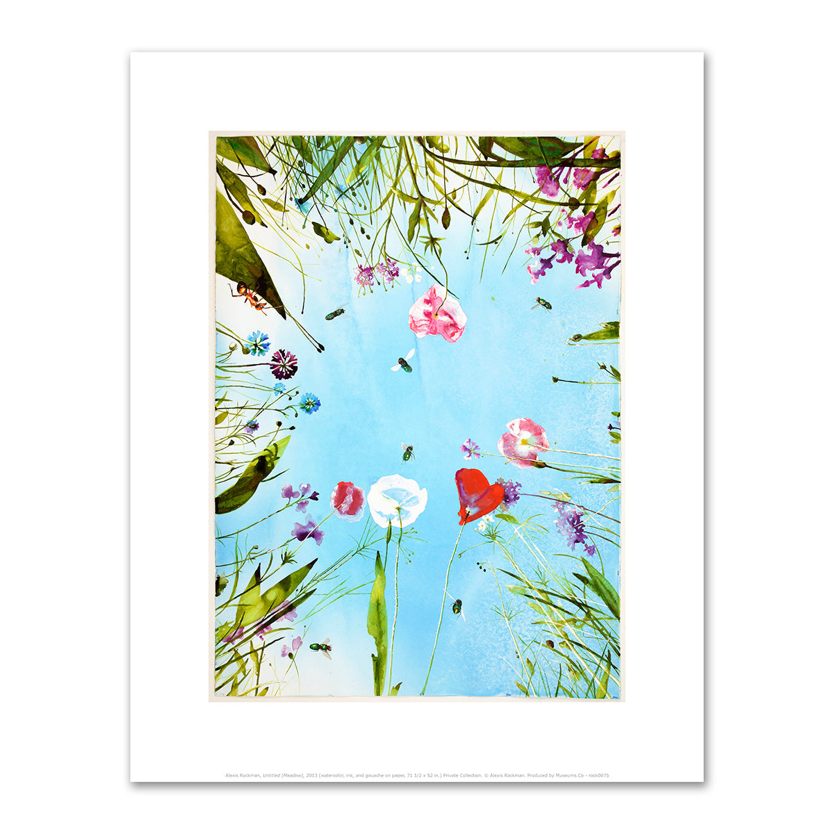 Untitled (Meadow) by Alexis Rockman