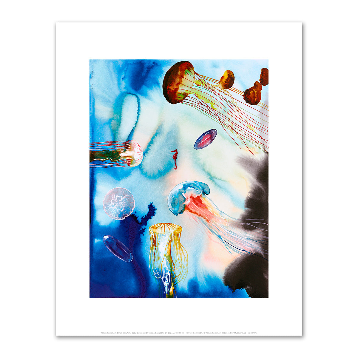 Small Jellyfish by Alexis Rockman