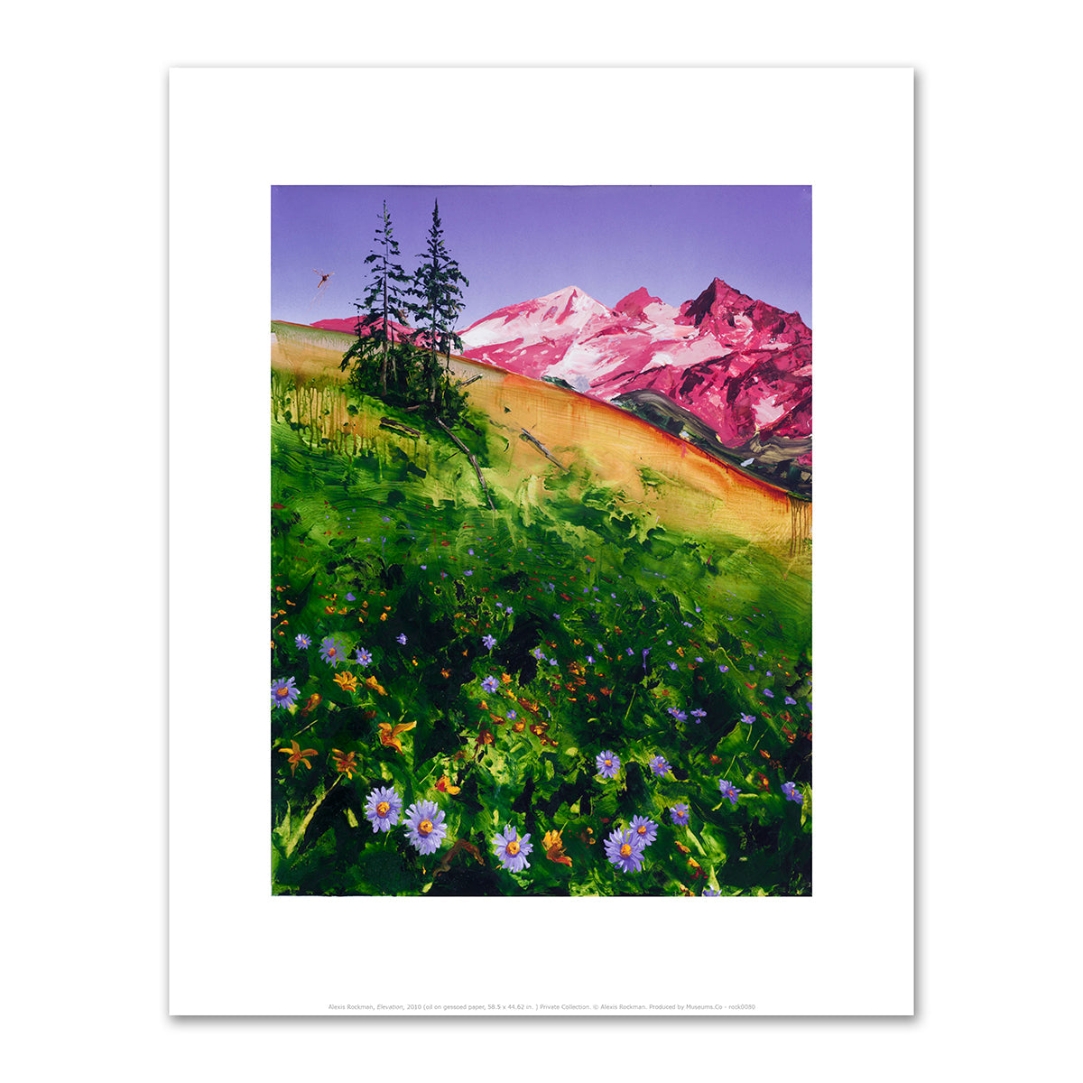Elevation by Alexis Rockman
