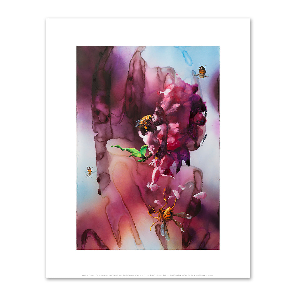 Cherry Blossoms by Alexis Rockman