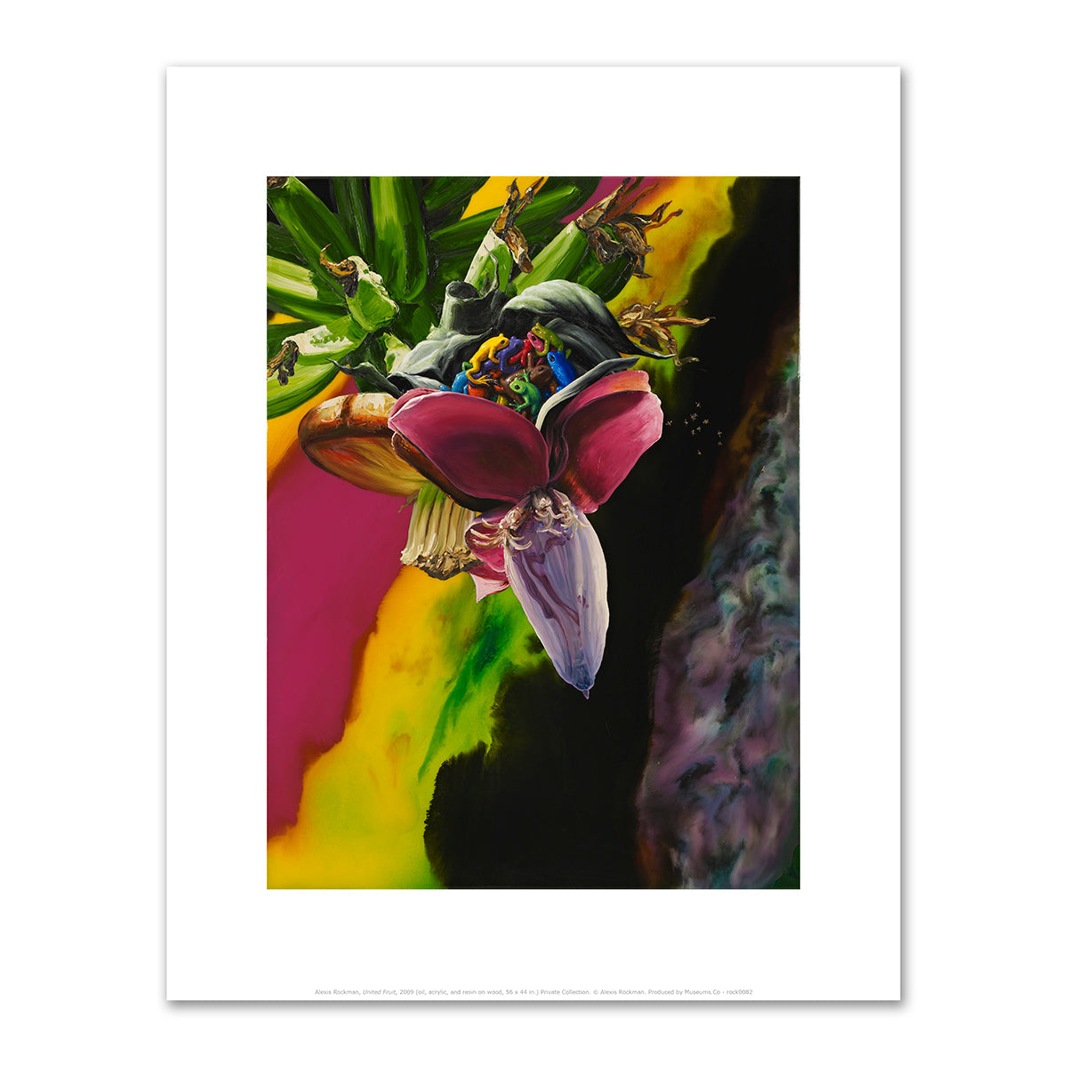 United Fruit by Alexis Rockman