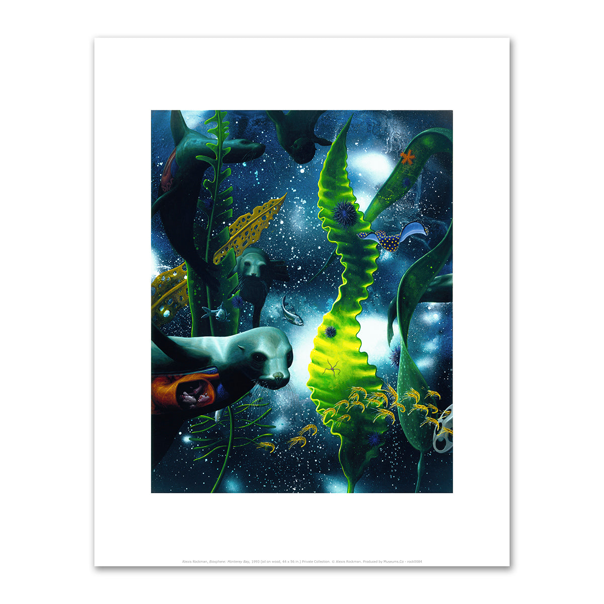 Biosphere: Monterey Bay by Alexis Rockman