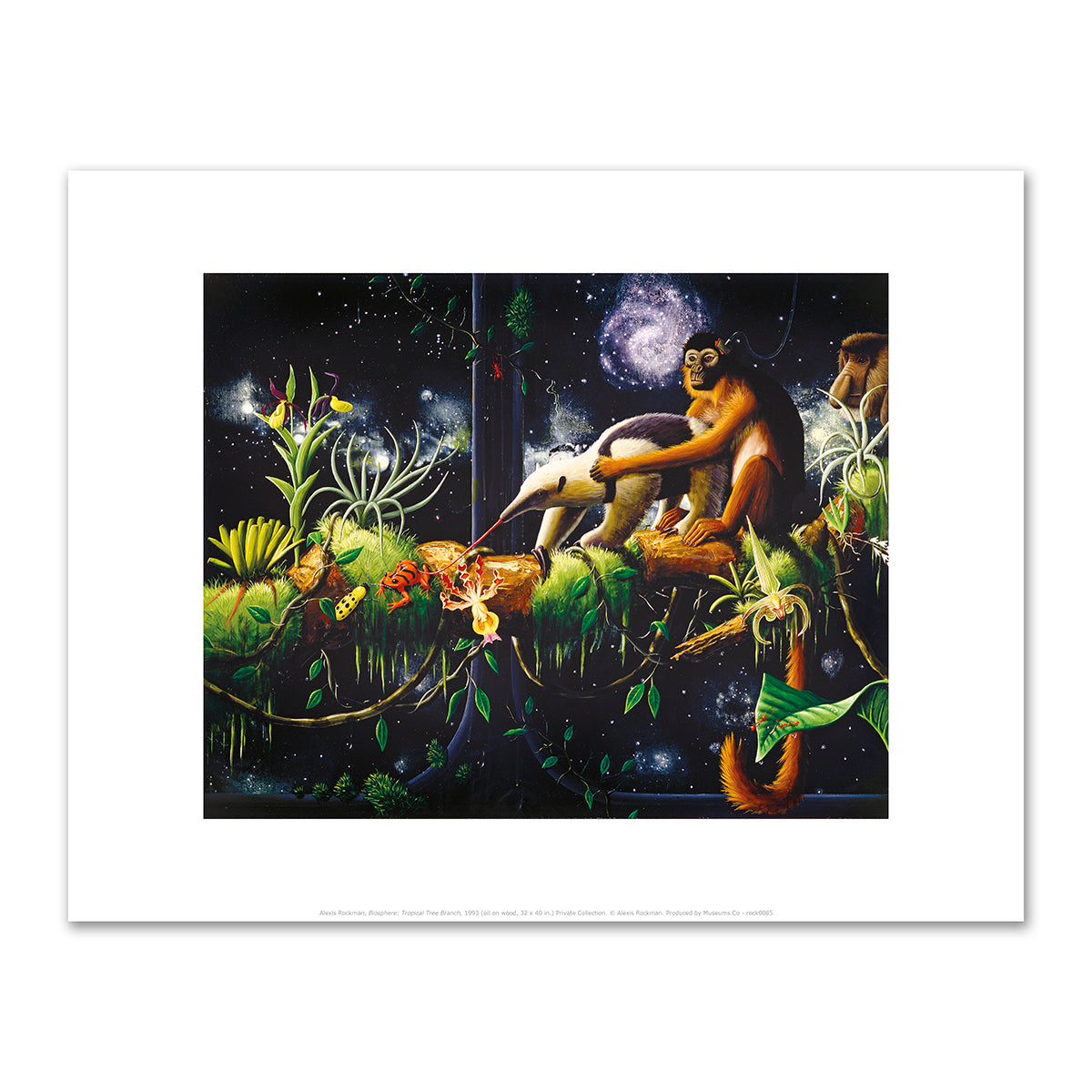 Biosphere: Tropical Tree Branch by Alexis Rockman