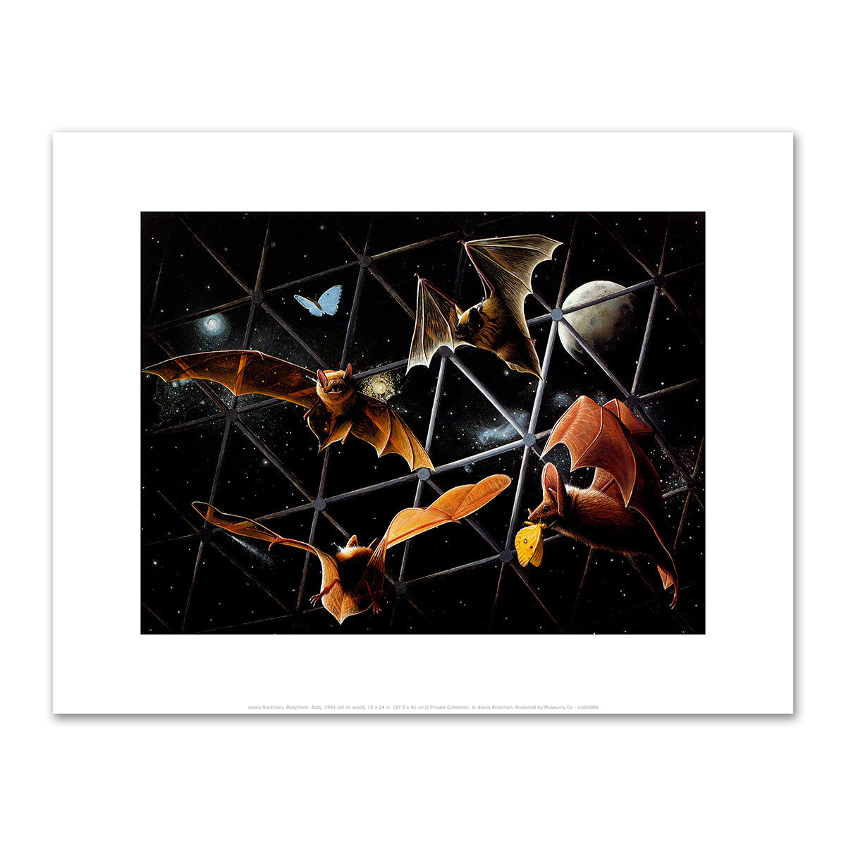 Biosphere: Bats by Alexis Rockman