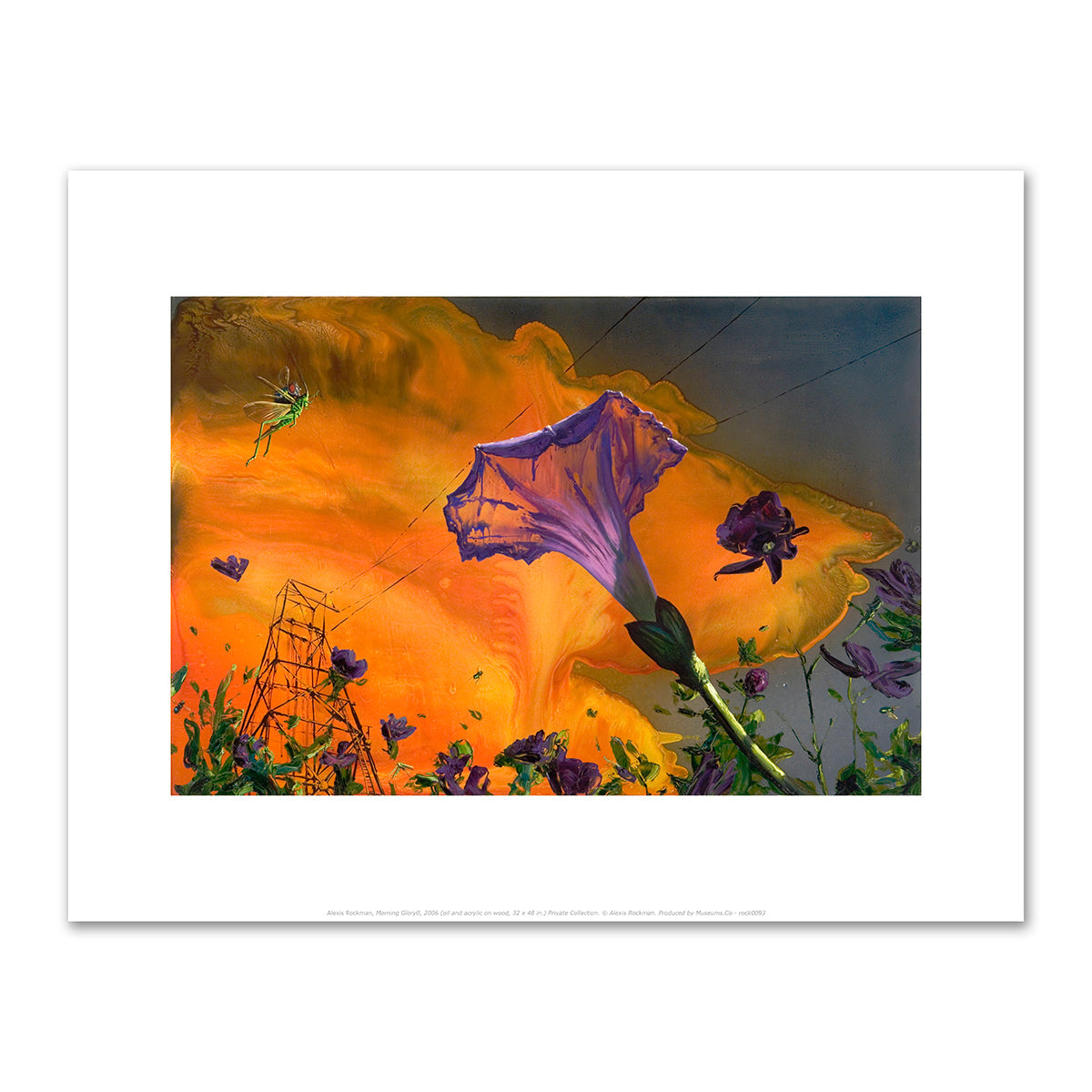 Morning Glory by Alexis Rockman
