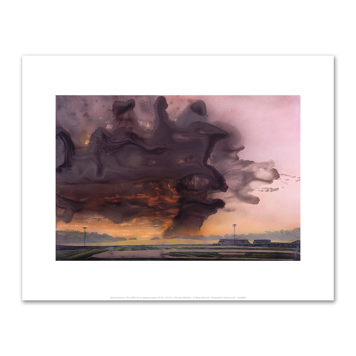 Fire by Alexis Rockman