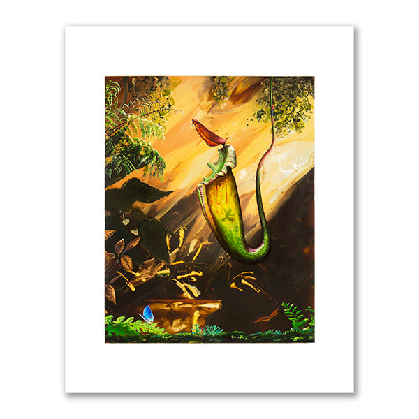 Nepenthes by Alexis Rockman
