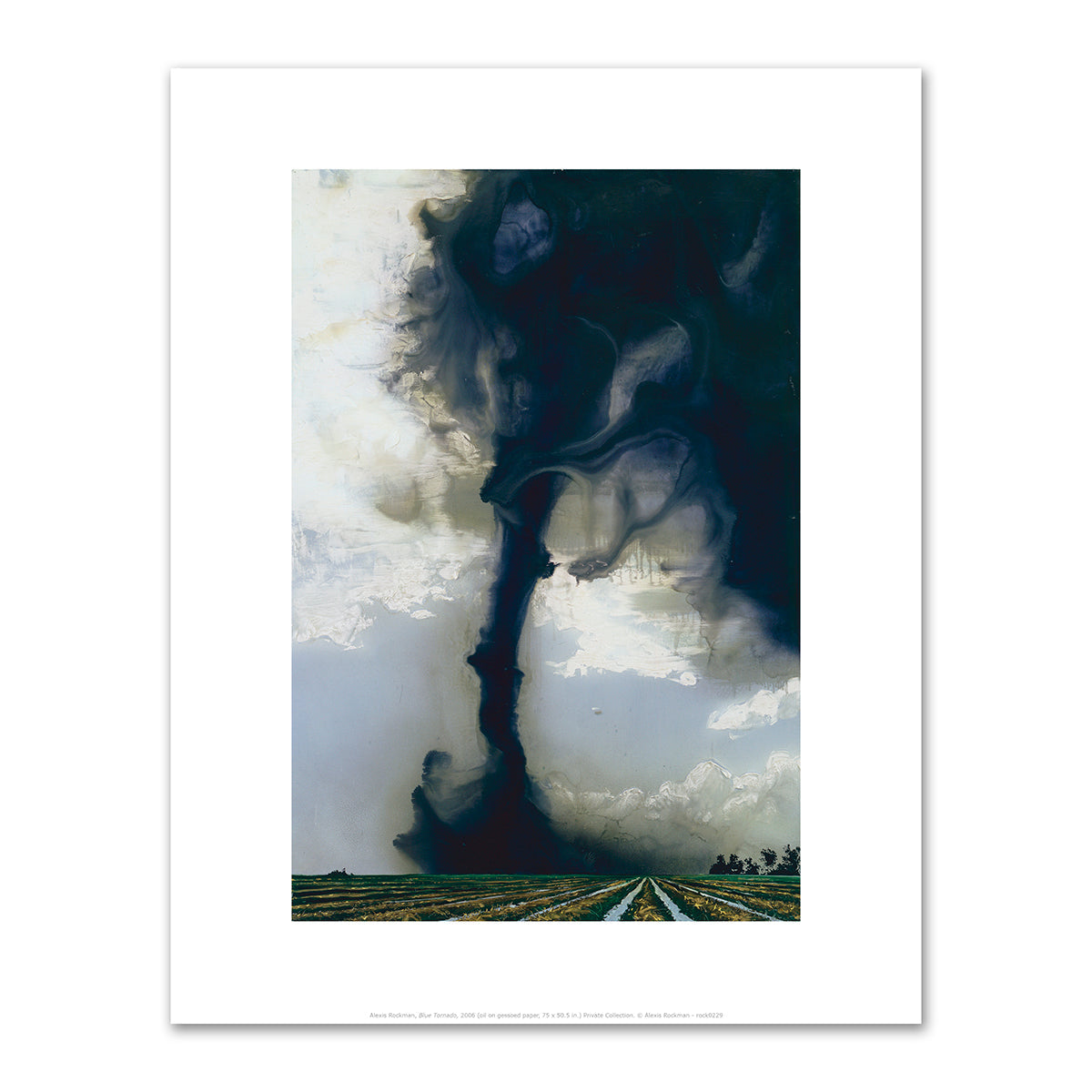 Blue Tornado by Alexis Rockman