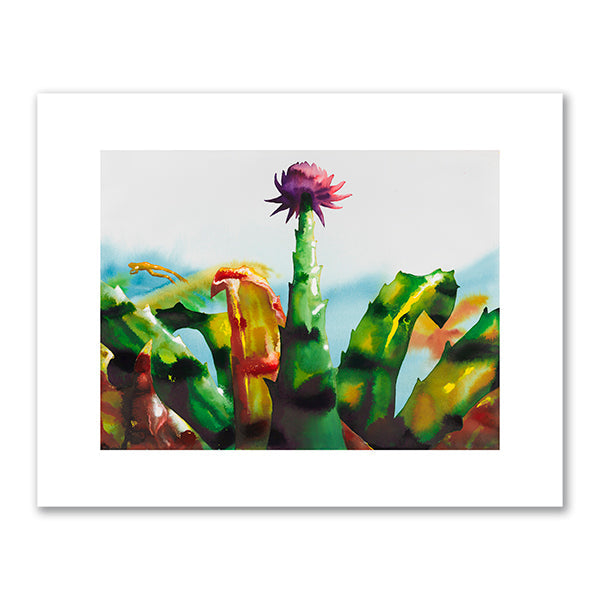 Bromeliad by Alexis Rockman