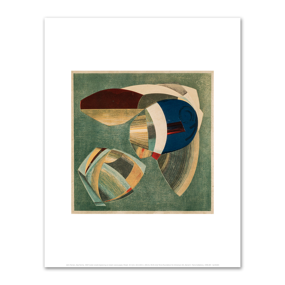 Sea Forms by John Ferren