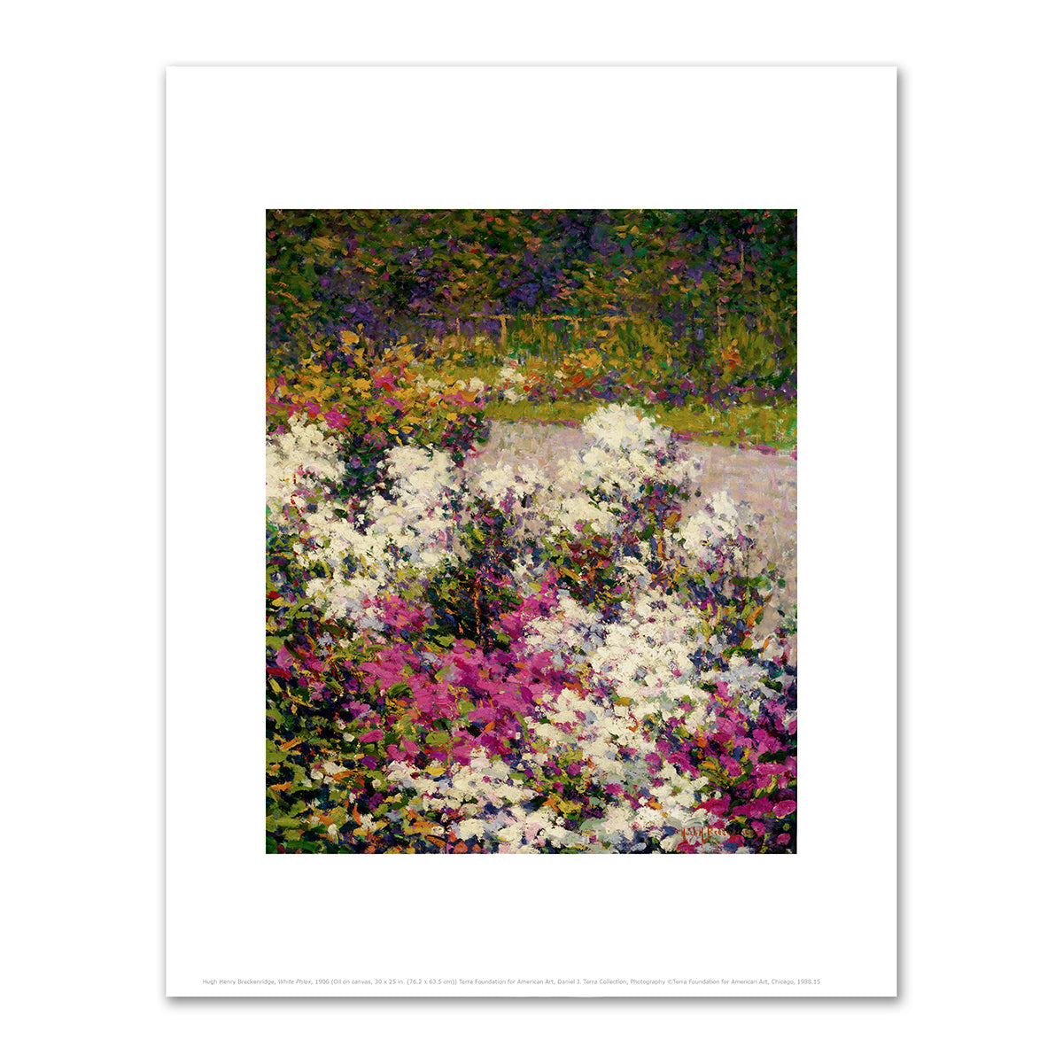 White Phlox by Hugh Henry Breckenridge