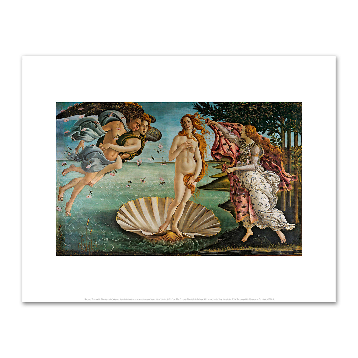 The Birth of Venus by Sandro Botticelli Archival Print