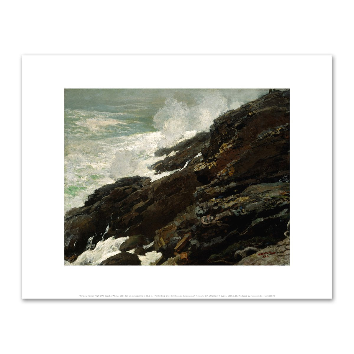 High Cliff, Coast of Maine by Winslow Homer