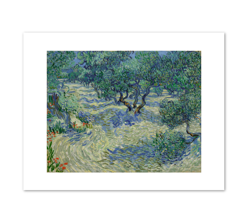 Olive Trees by Vincent van Gogh