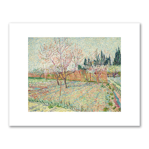 Orchard with Cypresses by Vincent van Gogh