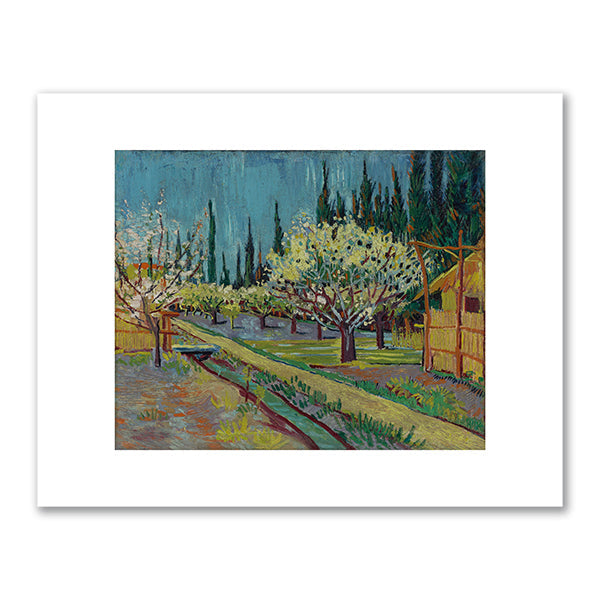 Orchard Bordered by Cypresses by Vincent van Gogh