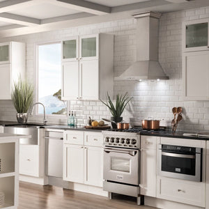 ZLINE 24" Professional Dual Fuel Range In Stainless Steel, RA24