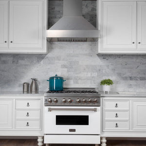 ZLINE 30" Snow Finish Stainless Range Hood with Snow Finish Shell, 8654SN-30