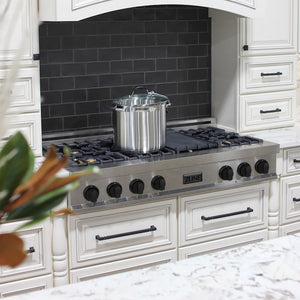 ZLINE 48" Autograph Rangetop, DuraSnow, Gold Accents RTSZ-48-MB