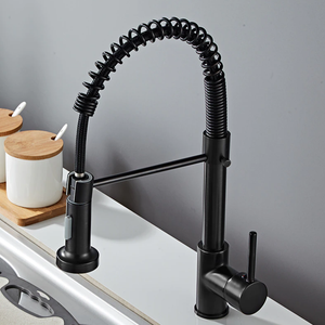 Johannes Swivel Spout Pull-Down Single-Hole Kitchen Sink Faucet in Black Color.