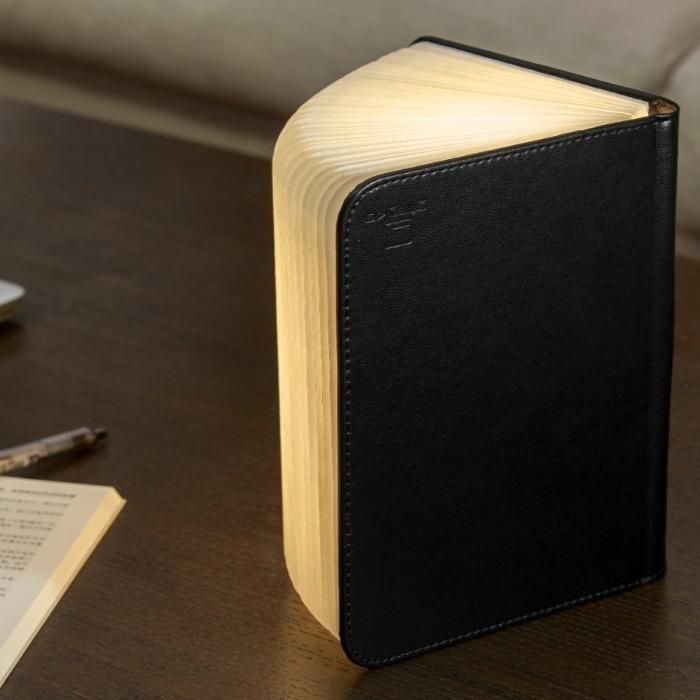 Sculptural Book Lamp