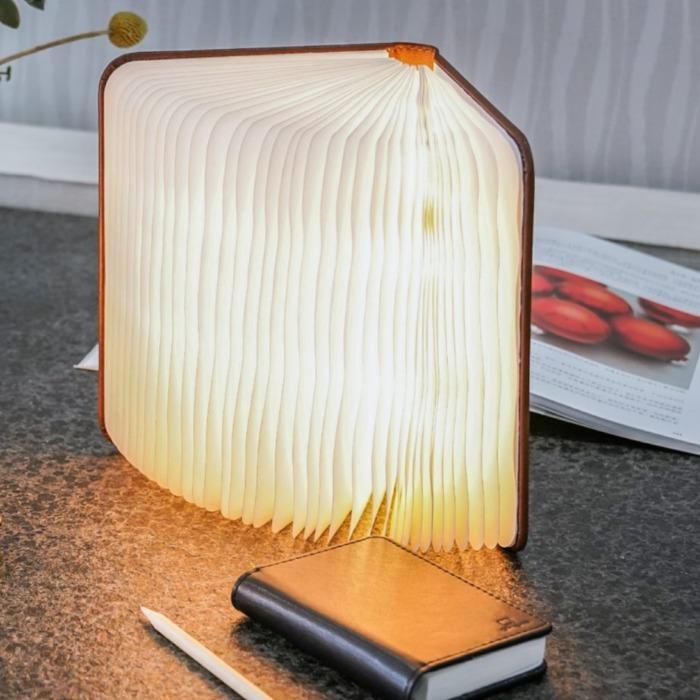 Sculptural Book Lamp
