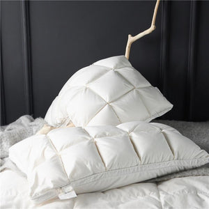 Set of 2 goose down filling Giancarlo Pillows in white color.